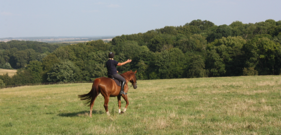 Wiltshire Private Estate